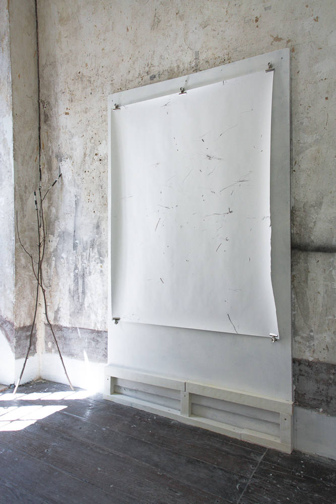 Drawing From Trees Exhibition